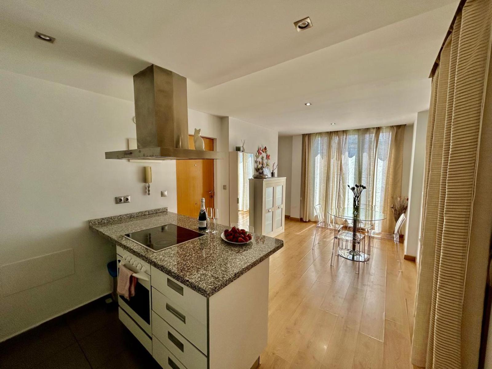 2 Big Terraces Penthouse City Center Alicante Exterior foto